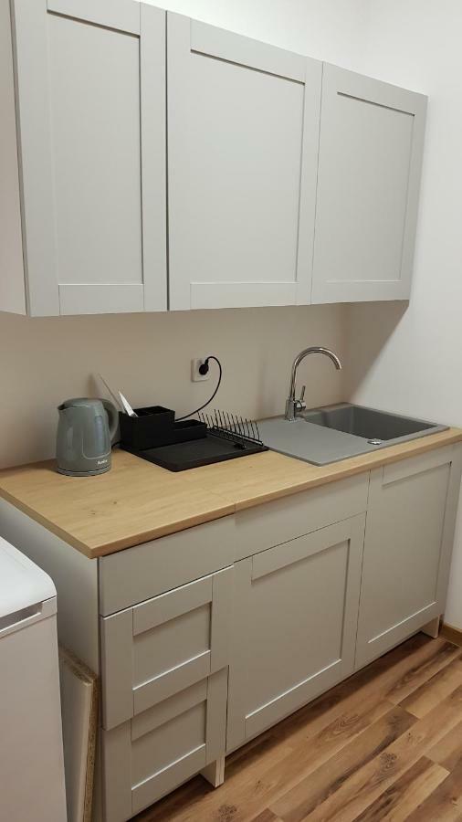 Apartament Nr 15 - 2 Pokoje Z Prywatnymi Lazienkami Centrum פוזנן מראה חיצוני תמונה